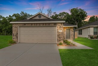 9529 Last Maples Trail, Conroe, TX 77303