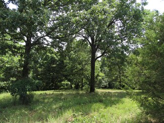 20.22 Ac Line Ridge, Lampe, MO 65681