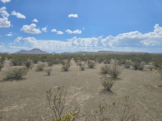 1101 Rd, Terlingua, TX 79852