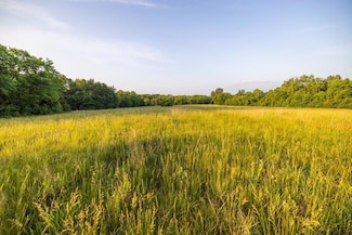 93 SW 1250th Rd, Chilhowee, MO 64733