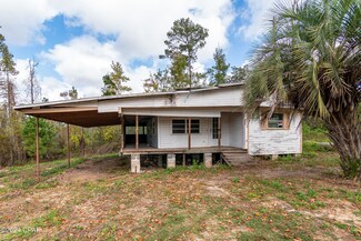 4073 Little Dothan Rd, Sneads, FL 32460
