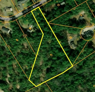 43-2-61 Butternut Ln, Tuftonboro, NH 03816