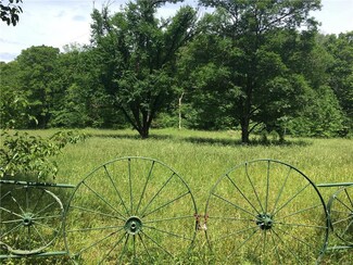 0 County Rd 160 Unit 17042030, Des Arc, MO 63636