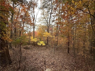 1344 Hunter Dr, Ranger, GA 30734