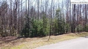 Lot #18 Blue Mountain Dr, Wilkesboro, NC 28697