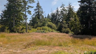 2803 219th St, Ocean Park, WA 98640