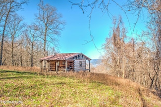 172 Pam Ln, Townsend, TN 37882