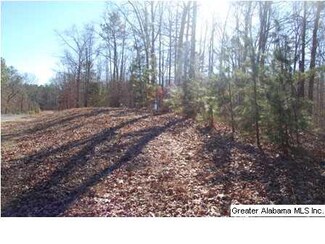 0 Blackberry Dr Unit 82 618559, Wedowee, AL 36278