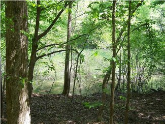 273 Cleveland Cir, Hodges, AL 35571