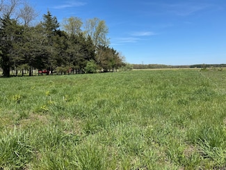 24230 County Line Rd, Essex, IL 60935