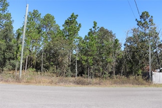 TBD SW Indian Hill Dr, Dunnellon, FL 34431