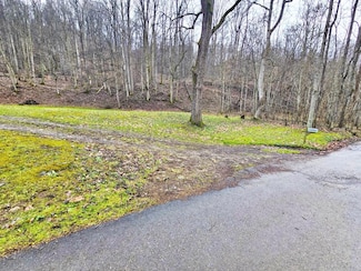 1272 White Oak Creek Rd, Artie, WV 25008