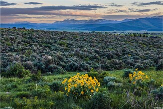 755 E Hoyt Peak Ranch Rd N Unit 1, Marion, UT 84036
