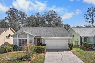 4010 Levonshire Place, Valrico, FL 33596