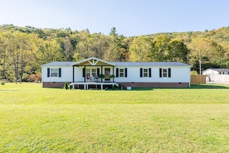 11504 Grapefield Rd, Bastian, VA 24314