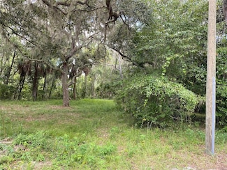 0 Cr 448c Unit MFRG5084429, Lake Panasoffkee, FL 33538