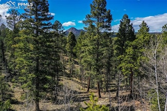 360 Tejon Creek Trail, Florissant, CO 80816
