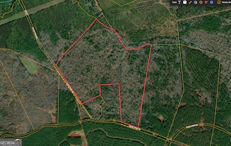 69.98 ACRES Saxon Mattox Rd, Carlton, GA 30627