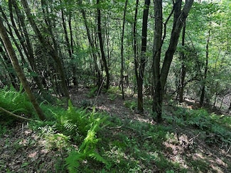 Lot 16 Freedom Pass Dr, Murphy, NC 28906