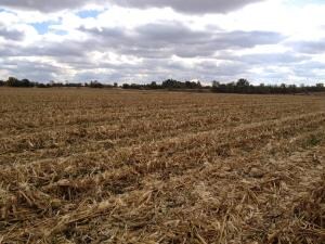 0 150th St Unit 14-322, Columbus Junction, IA 52738