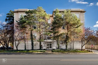 1135 Schneider Ave Unit 3B, Oak Park, IL 60302