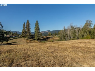 0 Lot 25 Husum Greens, Whitesalmon, WA 98672