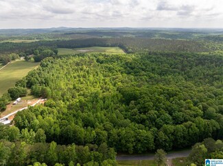 0 Shady Grove Rd, Goodwater, AL 35072