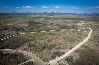 26 Antelope Dr, Alpine, TX 79830