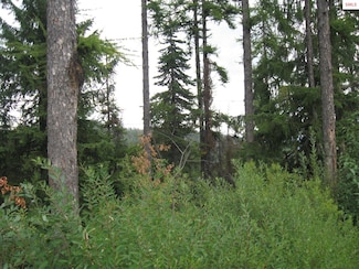 9 Parallel Run, Sandpoint, ID 83864