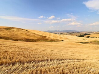 000 Murphy Lane Lot 1, Moscow, ID 83843