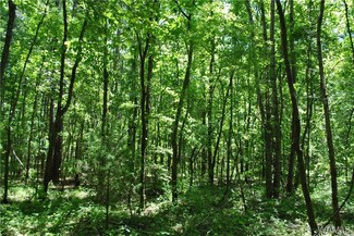 00 Black Warrior Bay, Akron, AL 35441
