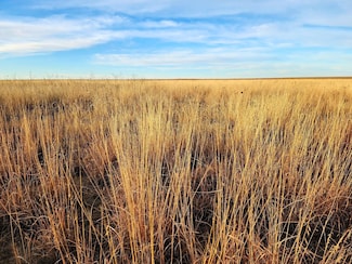 N County Rd, Eads, CO 81036