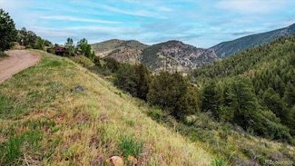 0 Elk Valley Dr Unit 12 REC4725873, Evergreen, CO 80439