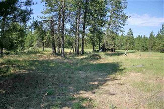 8115 E Valley Rd, Elk, WA 99009