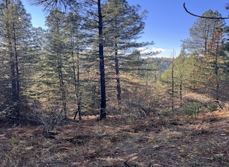 0 French Gulch Rd Unit 15685395, Kingston, ID 83839