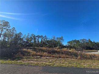 9388 N Old Mill Way, Citrus Springs, FL 34433