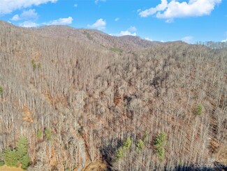 00000 Mountain Springs Rd, Mars Hill, NC 28754