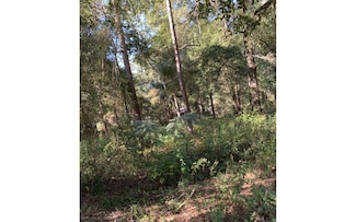 12 SE Earl Blvd Lot 73-75, Branford, FL 32008