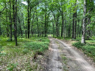 0 V L Wolf Trail Unit 22030190, Free Soil, MI 49411