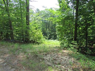 0 Acton Ridge Rd Unit Map 110 Block 24, Wakefield, NH 03872
