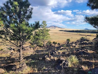 TBD New Mexico 120, Ocate, NM 87734