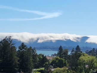 53 Mercury Ave, Belvedere Tiburon, CA 94920