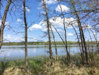 000 Horseshoe Ln, Hackensack, MN 56452
