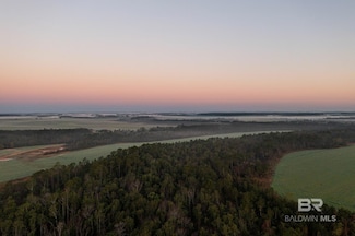 0000 County Road 91, Perdido Beach, AL 36530