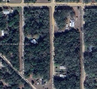0 Evans Ave Unit A11747022, Interlachen, FL 32148