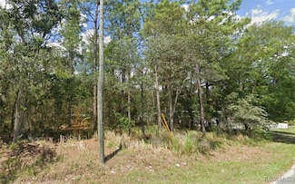 3081 E Thomas St, Inverness, FL 34453