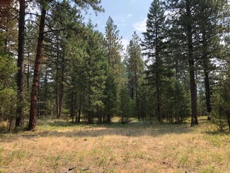 Nhn Island Park Dr S, Trout Creek, MT 59874