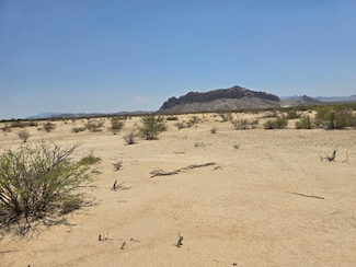 901 Spock Rd, Terlingua, TX 79852
