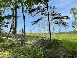 Lot 19 Hanlin Rd, Bruceton Mills, WV 26525