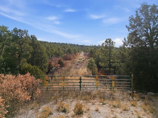 11 Hayner Ct, Tijeras, NM 87059